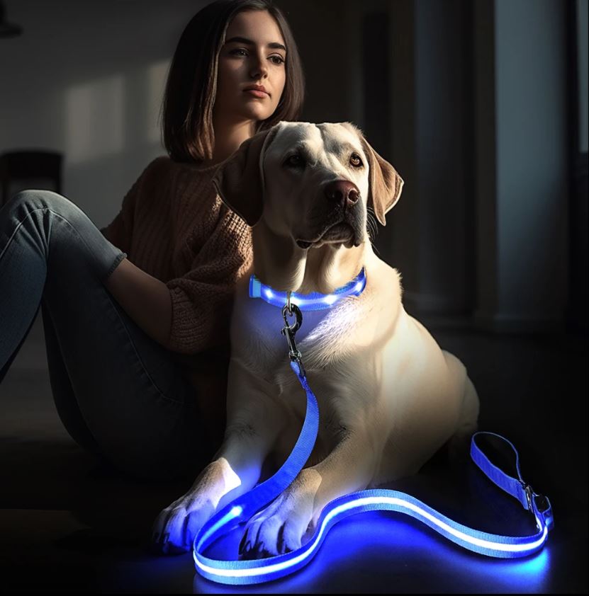 “La Correa que Hace que Tu Mascota Brille” 💡🐶