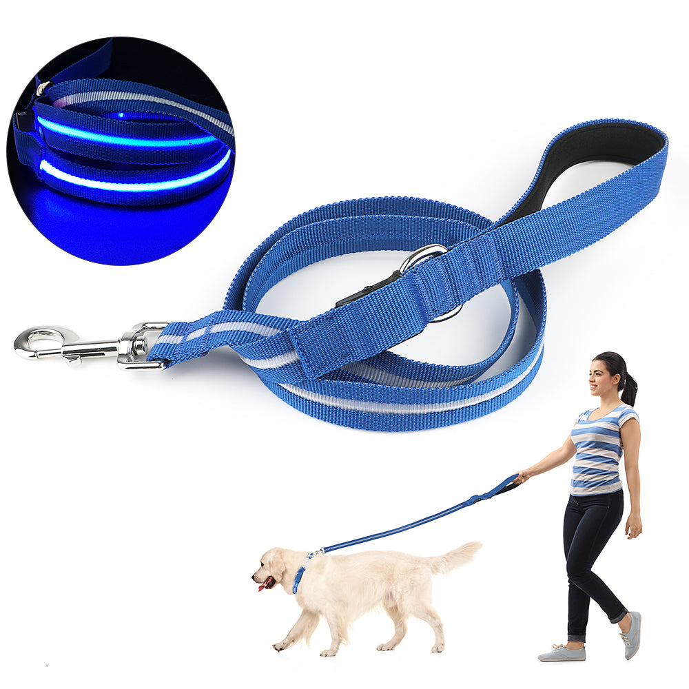 “La Correa que Hace que Tu Mascota Brille” 💡🐶