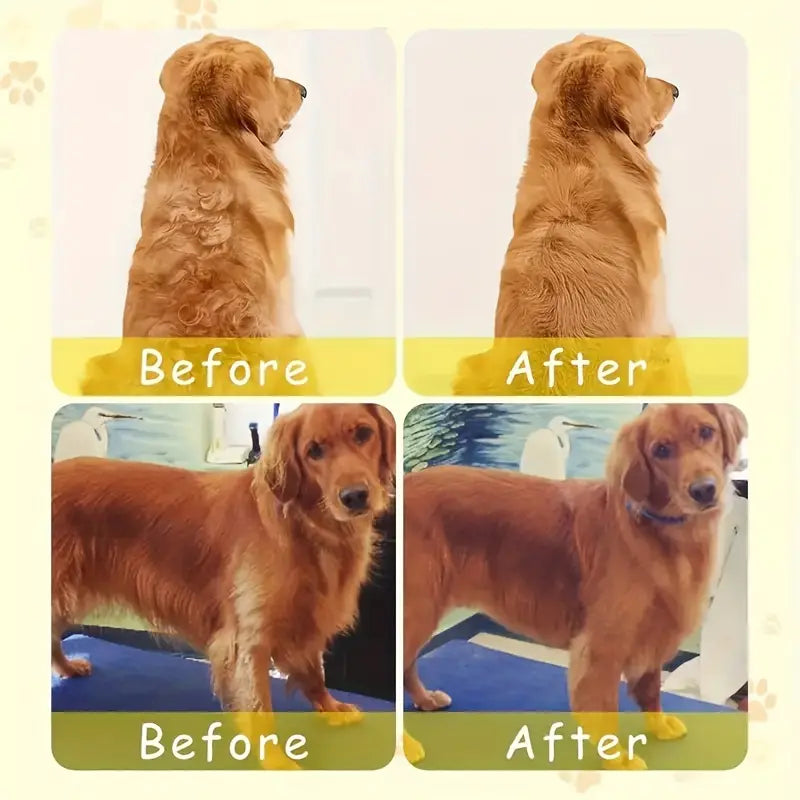 🎁 Cepillo a Vapor para  Mascota