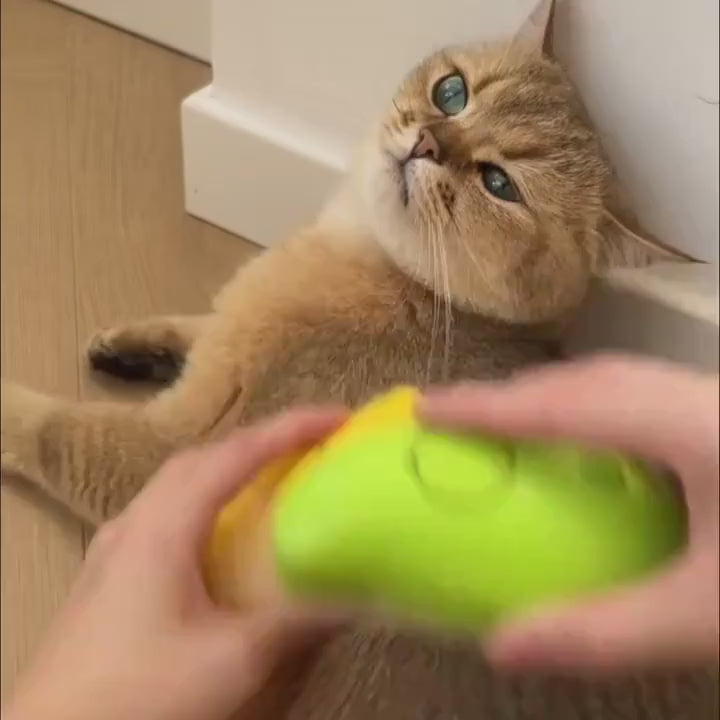 🎁 Cepillo a Vapor para  Mascota
